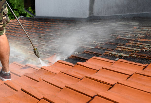 Best Commercial Building Pressure Washing  in Crockett, TX